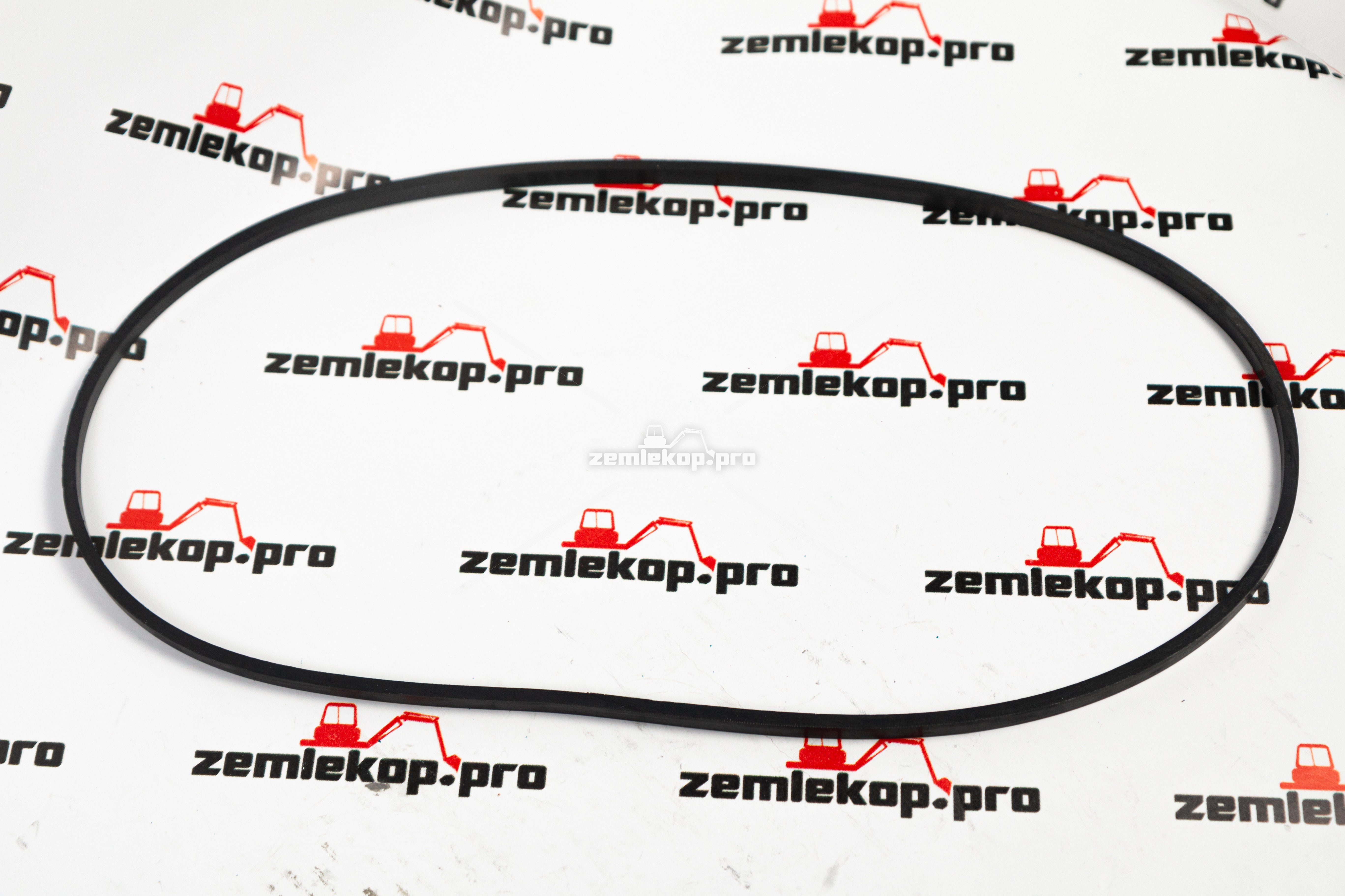 241237 Прокладка DANA