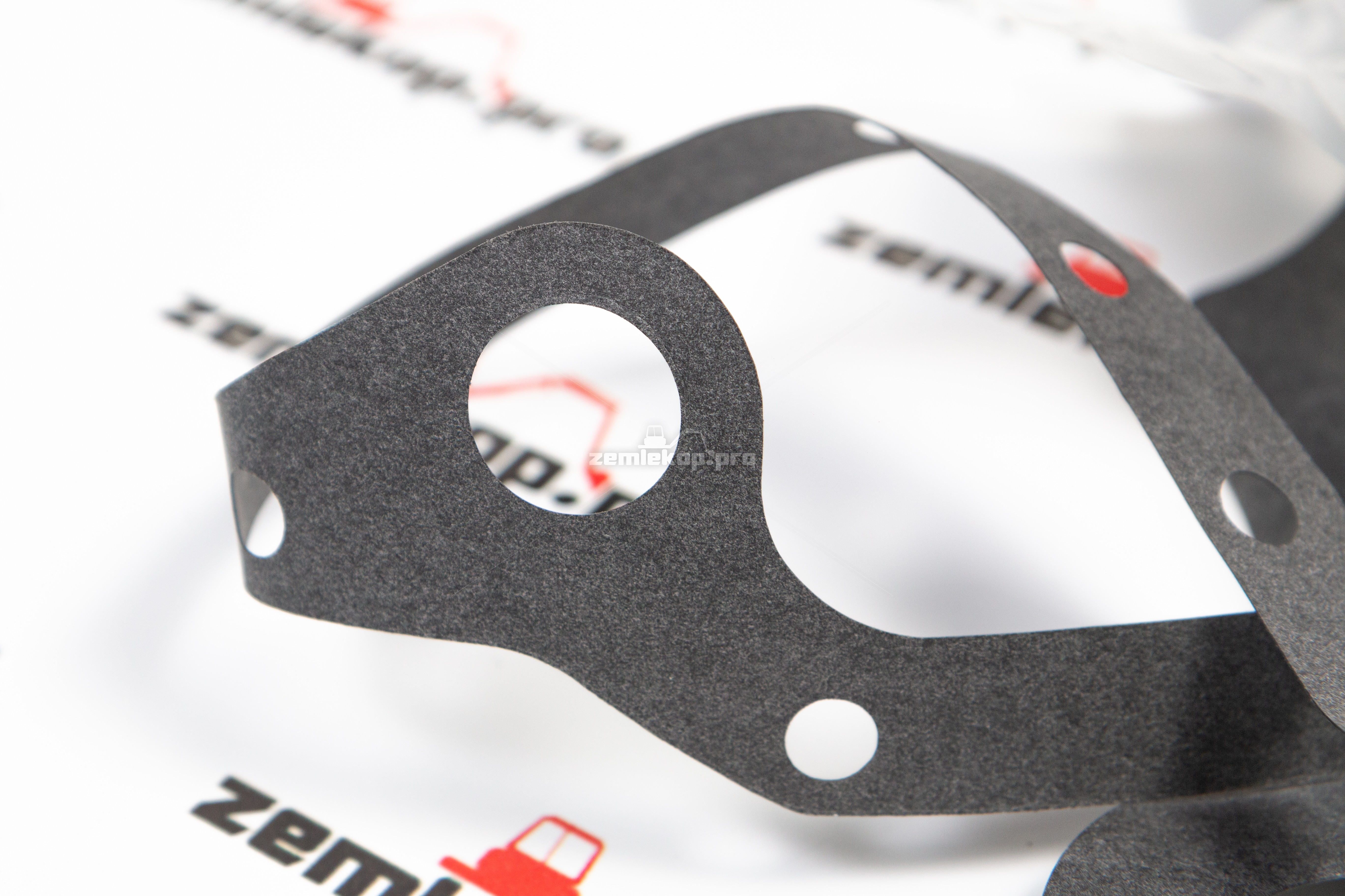 241279 Прокладка DANA (большая)