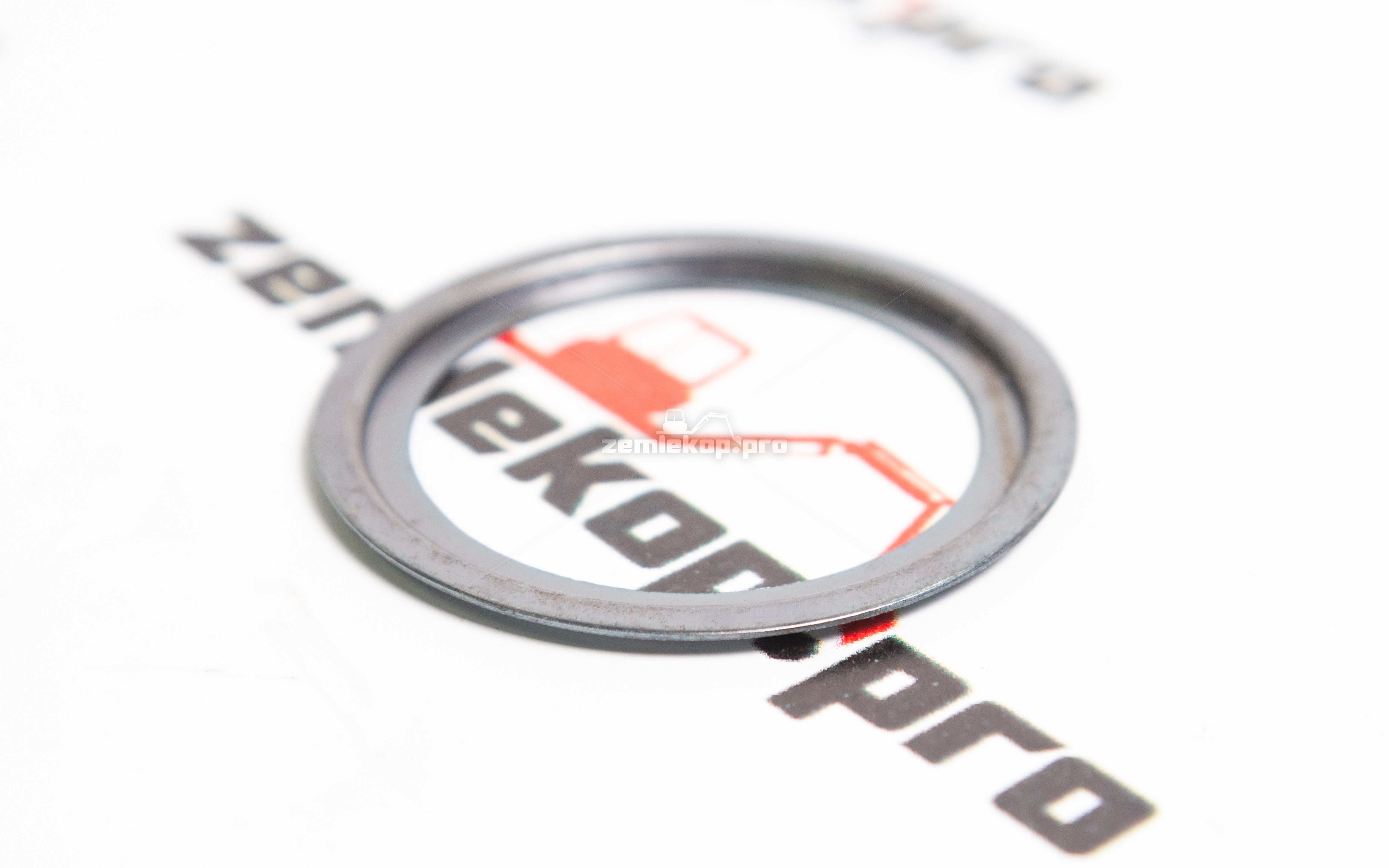 241313 Шайба DANA