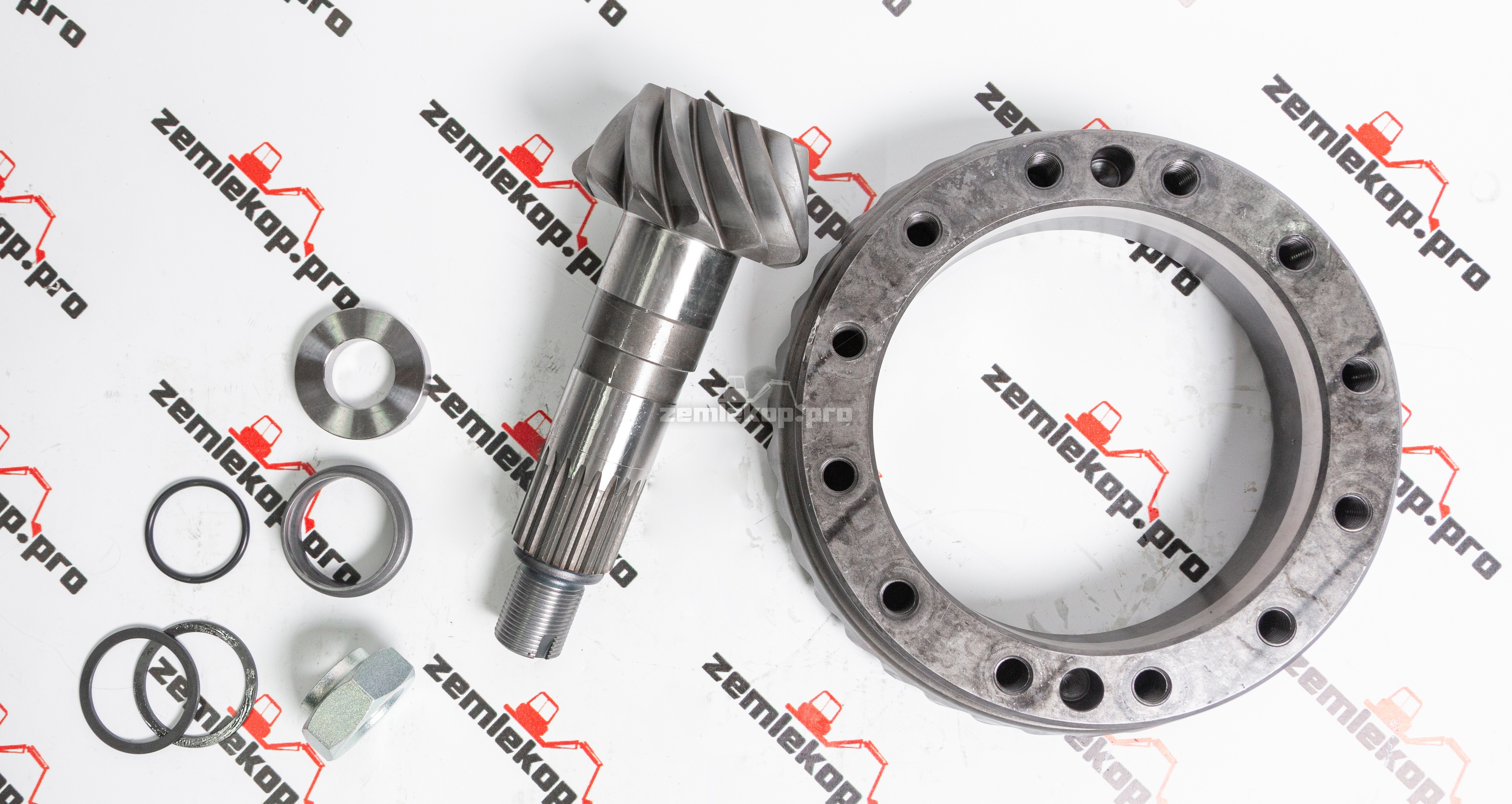 64884 Главная пара