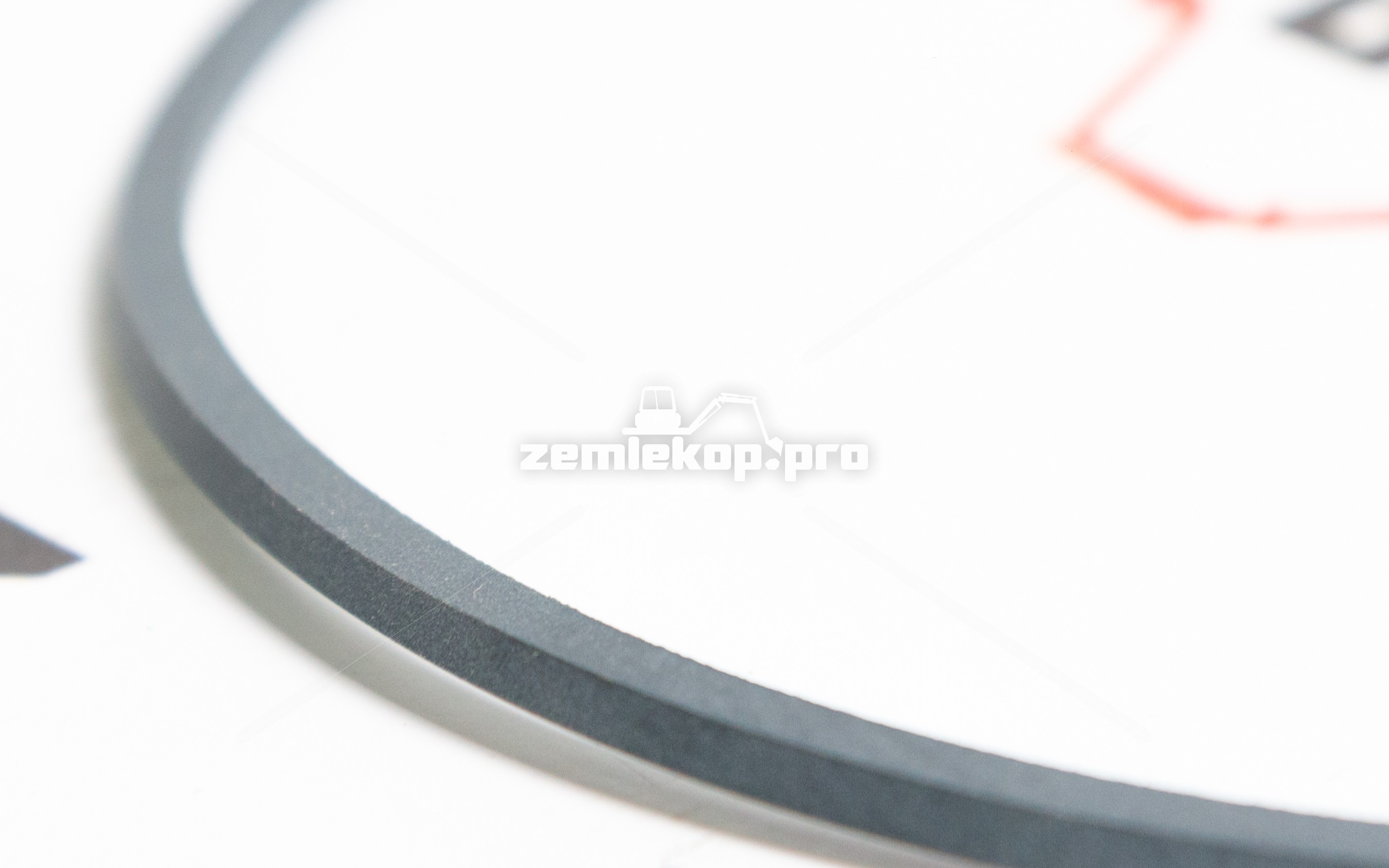 4217120 Кольцо DANA