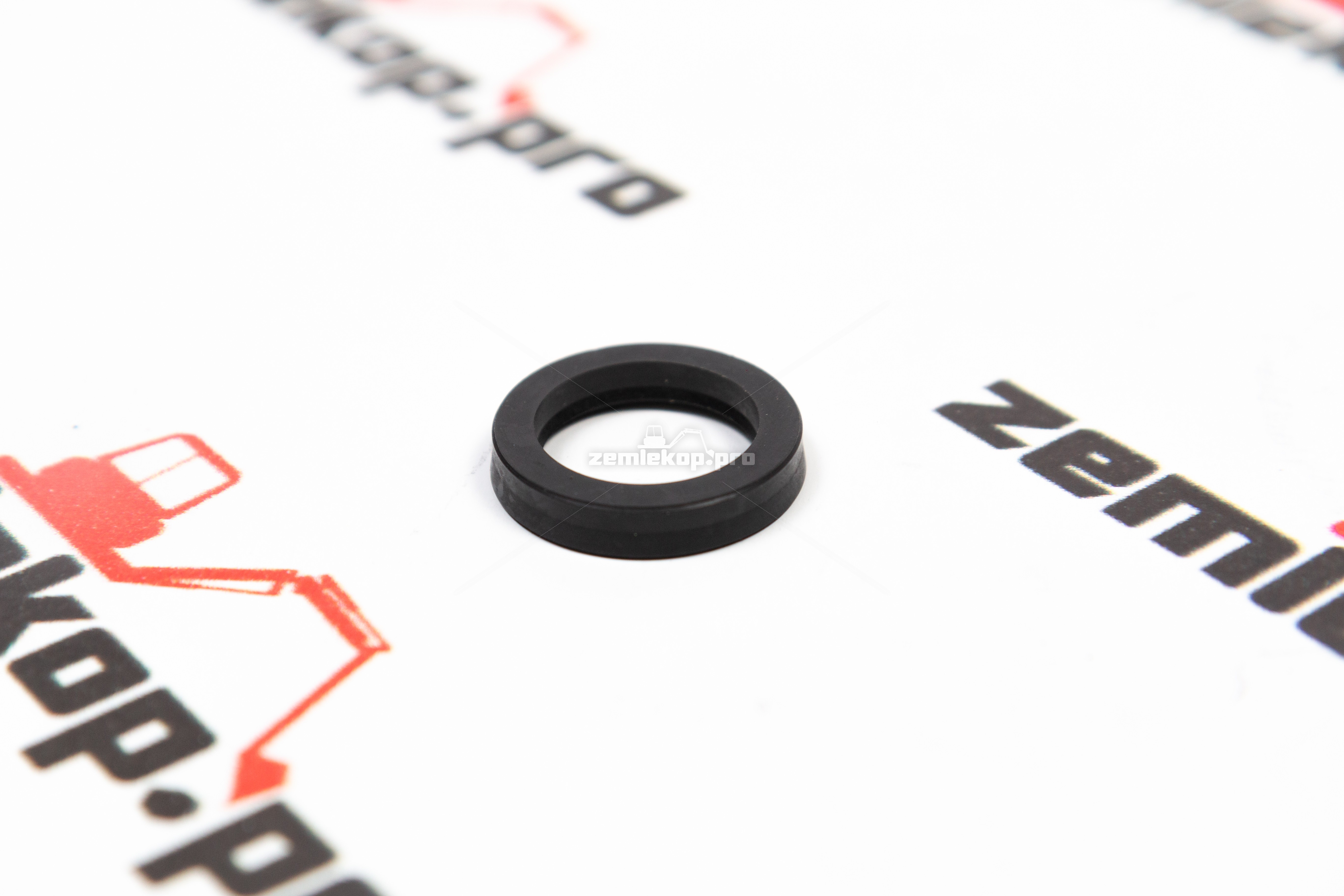 001.09.3070 Сальник DANA