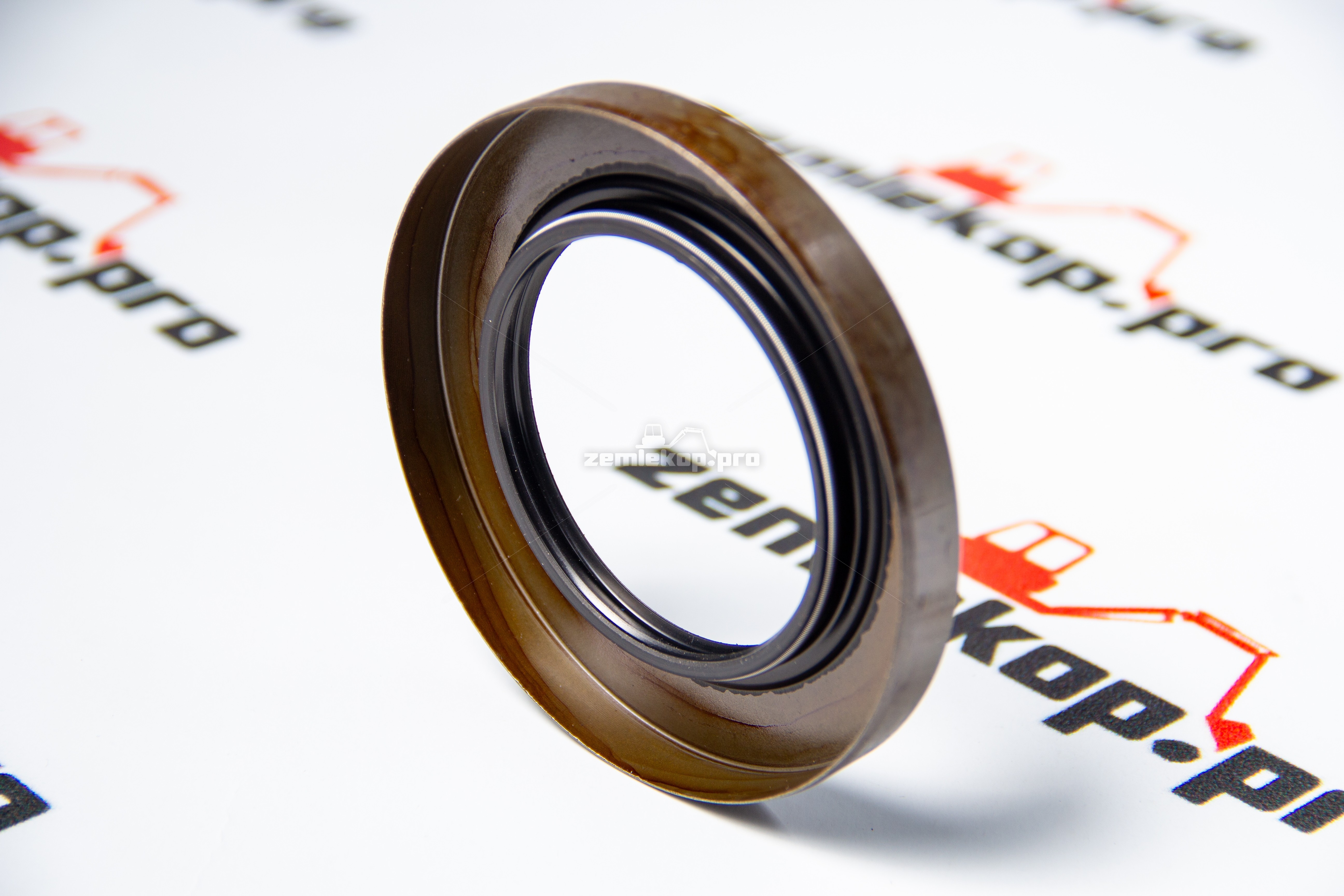 001.13.1234 Сальник DANA