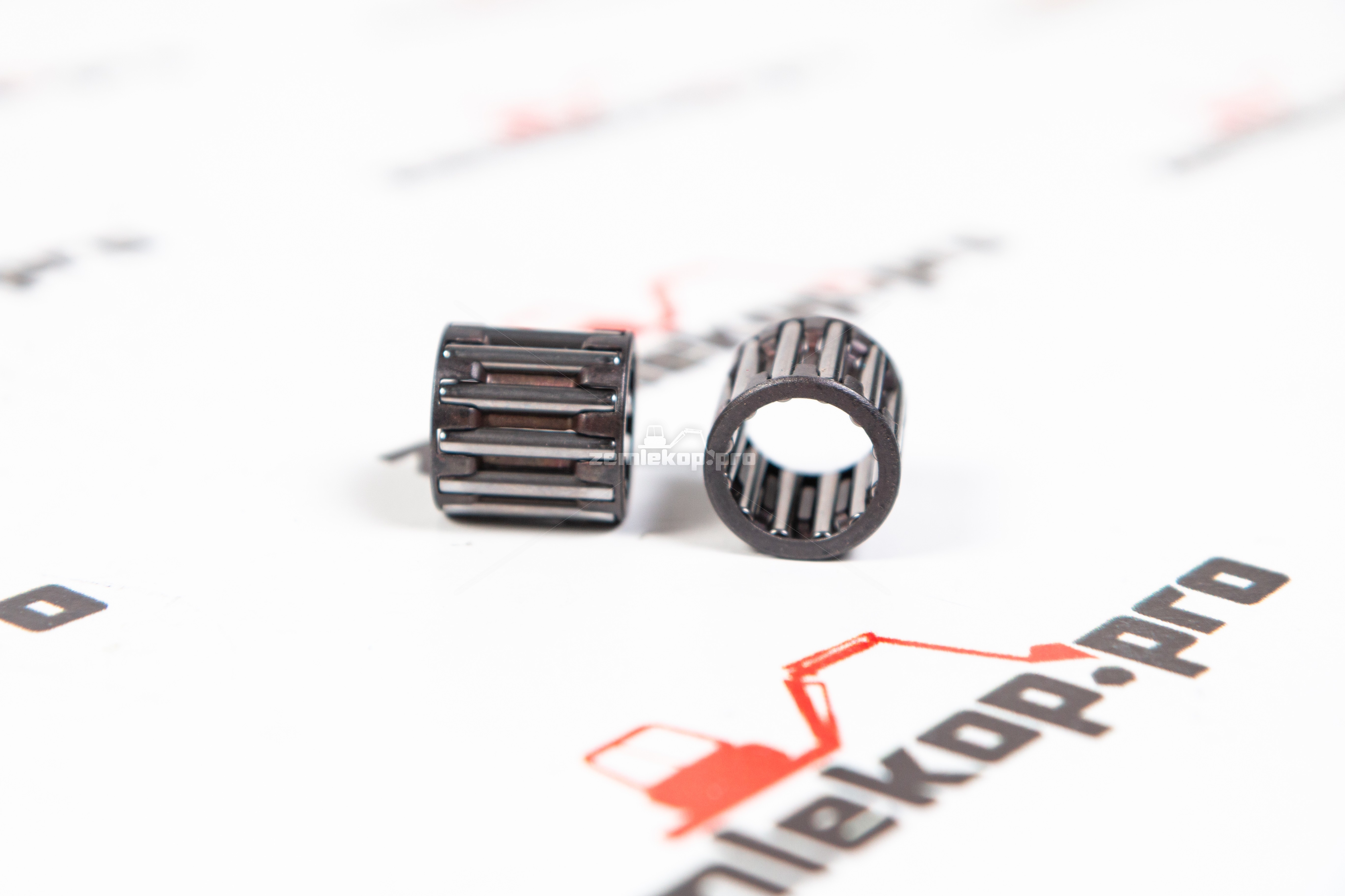 005.13.1365 Подшипник DANA