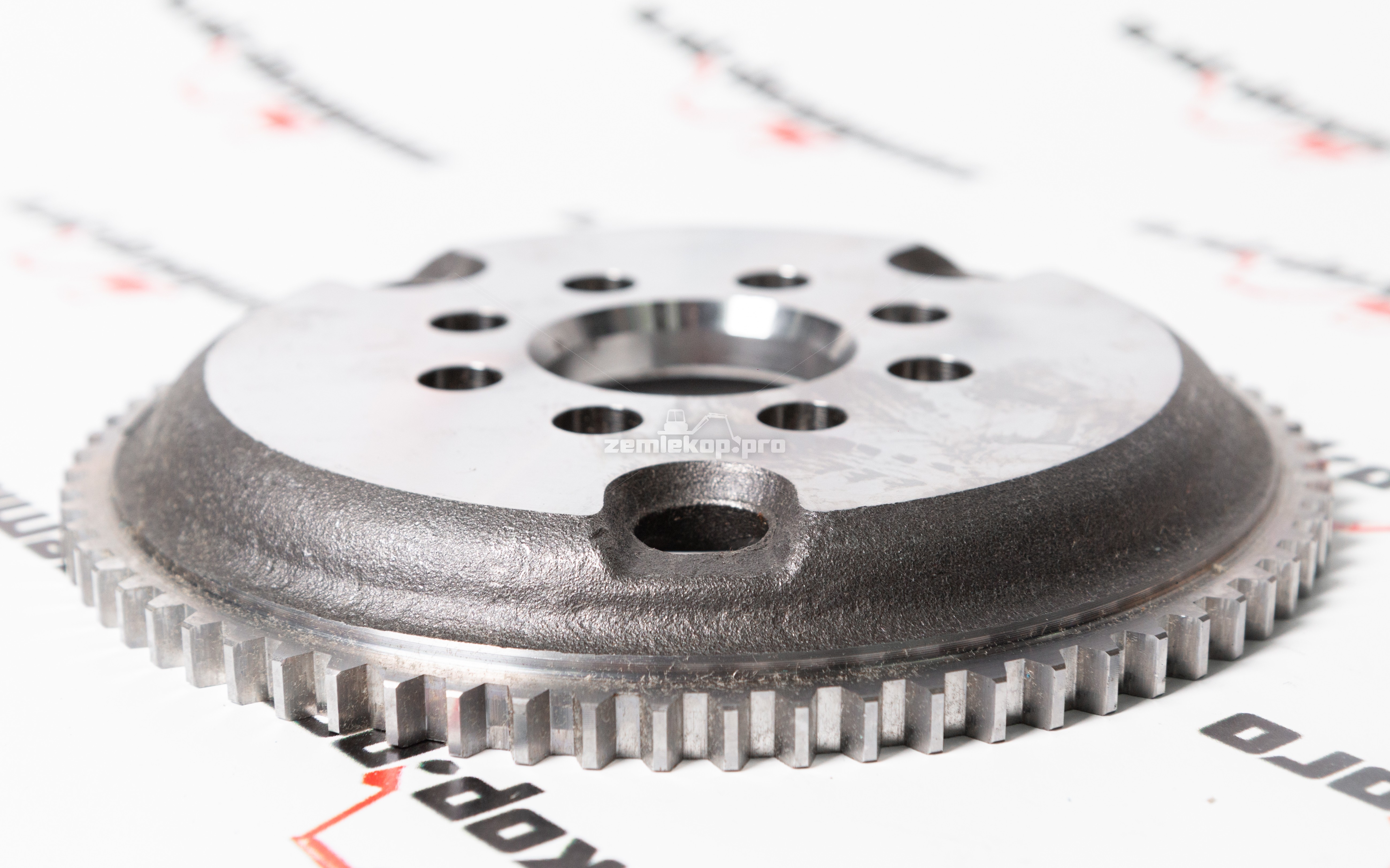 111.06.005.02 Шестерня DANA