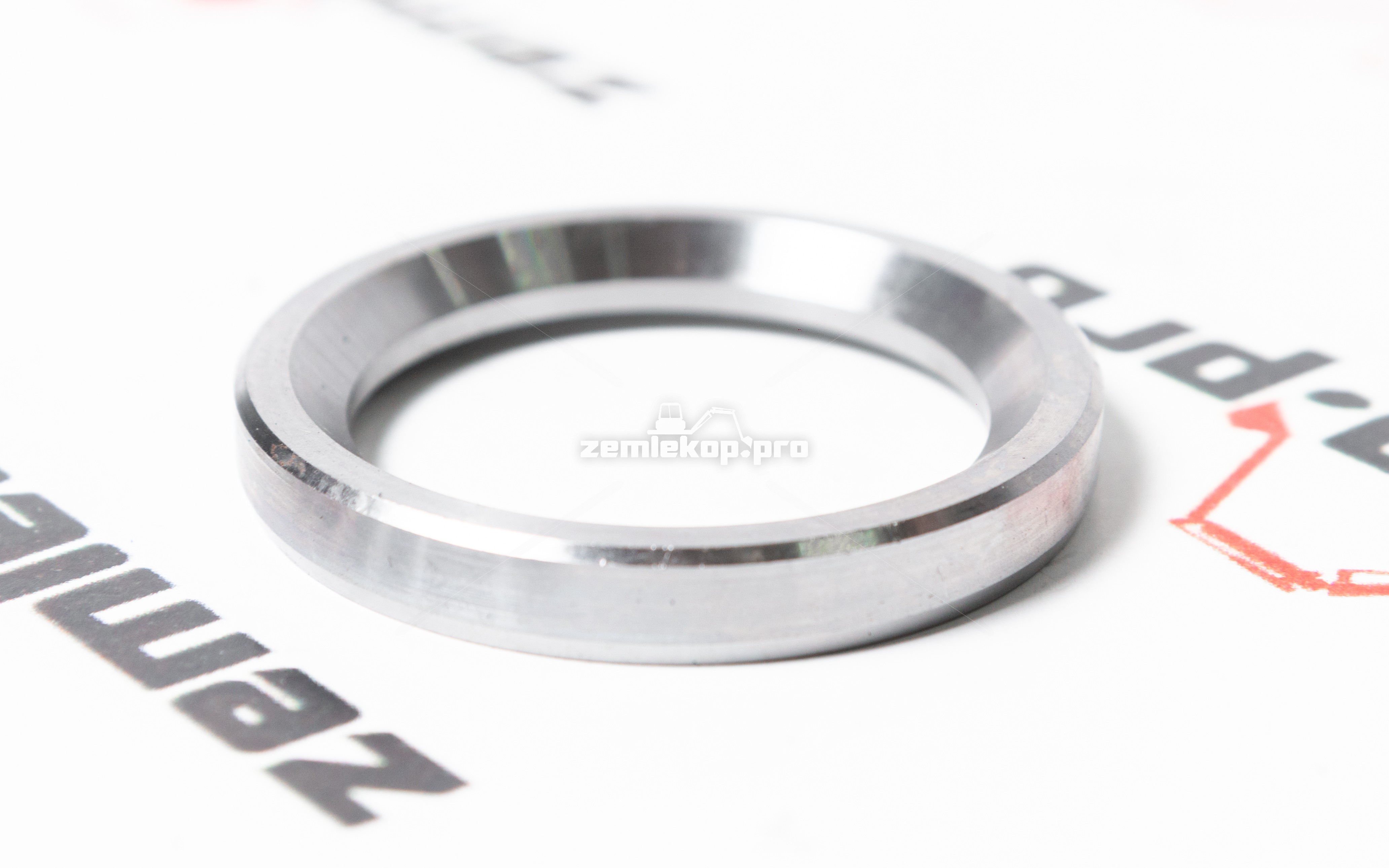 176.06.013.01 Шайба DANA