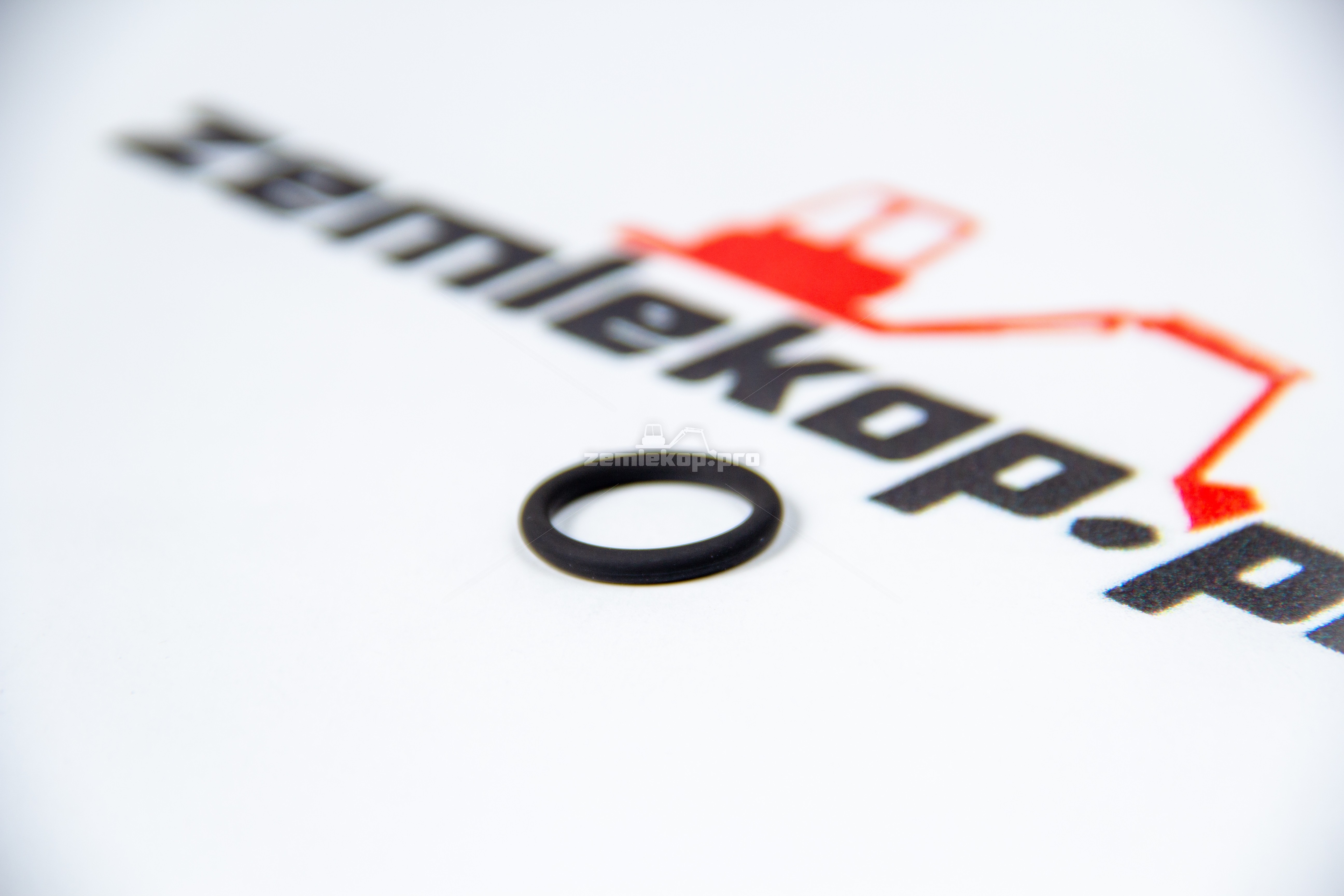 176.07.053.01 О-кольцо DANA