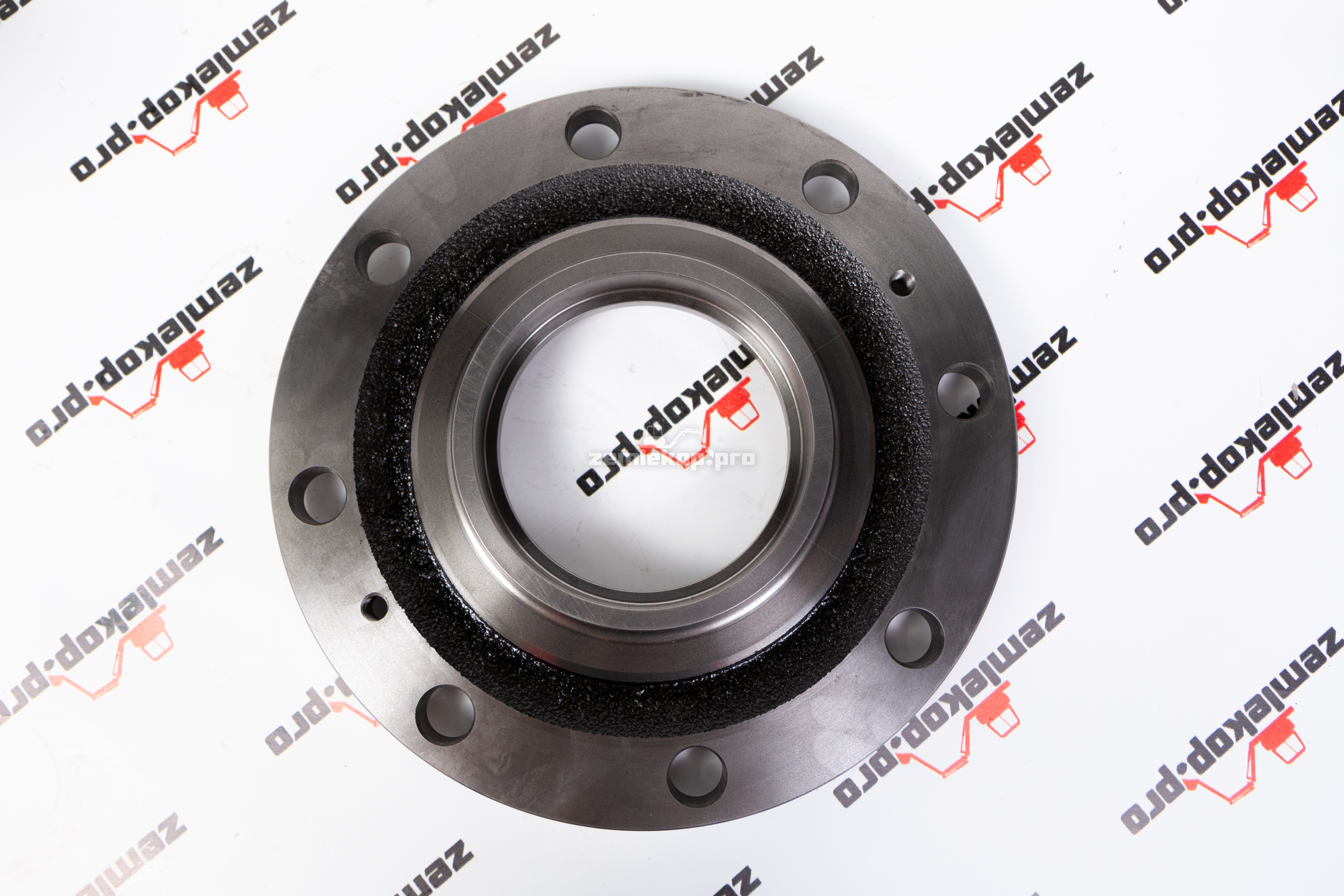 211.06.010.01 Ступица DANA