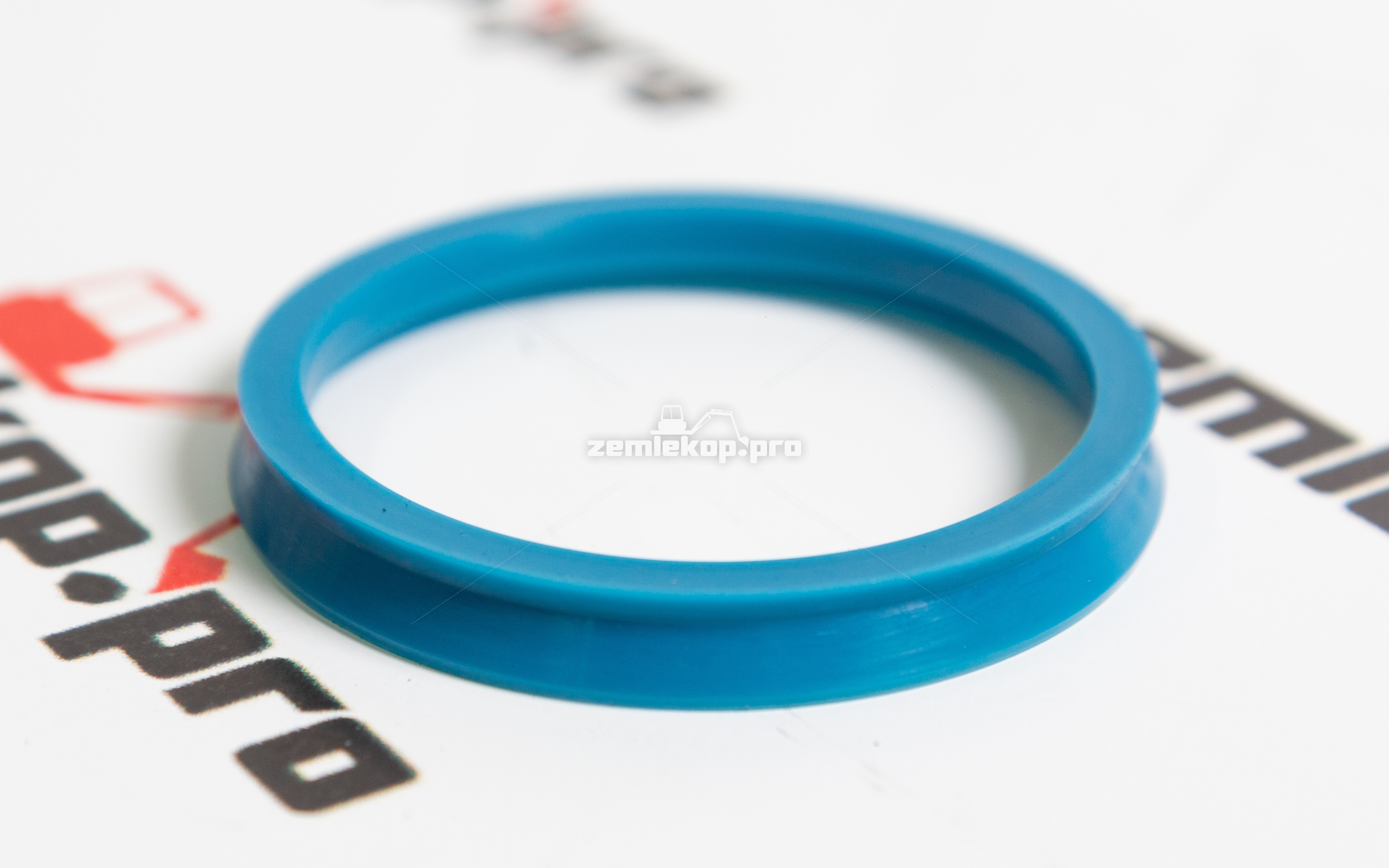 213.06.006.03 Сальник DANA