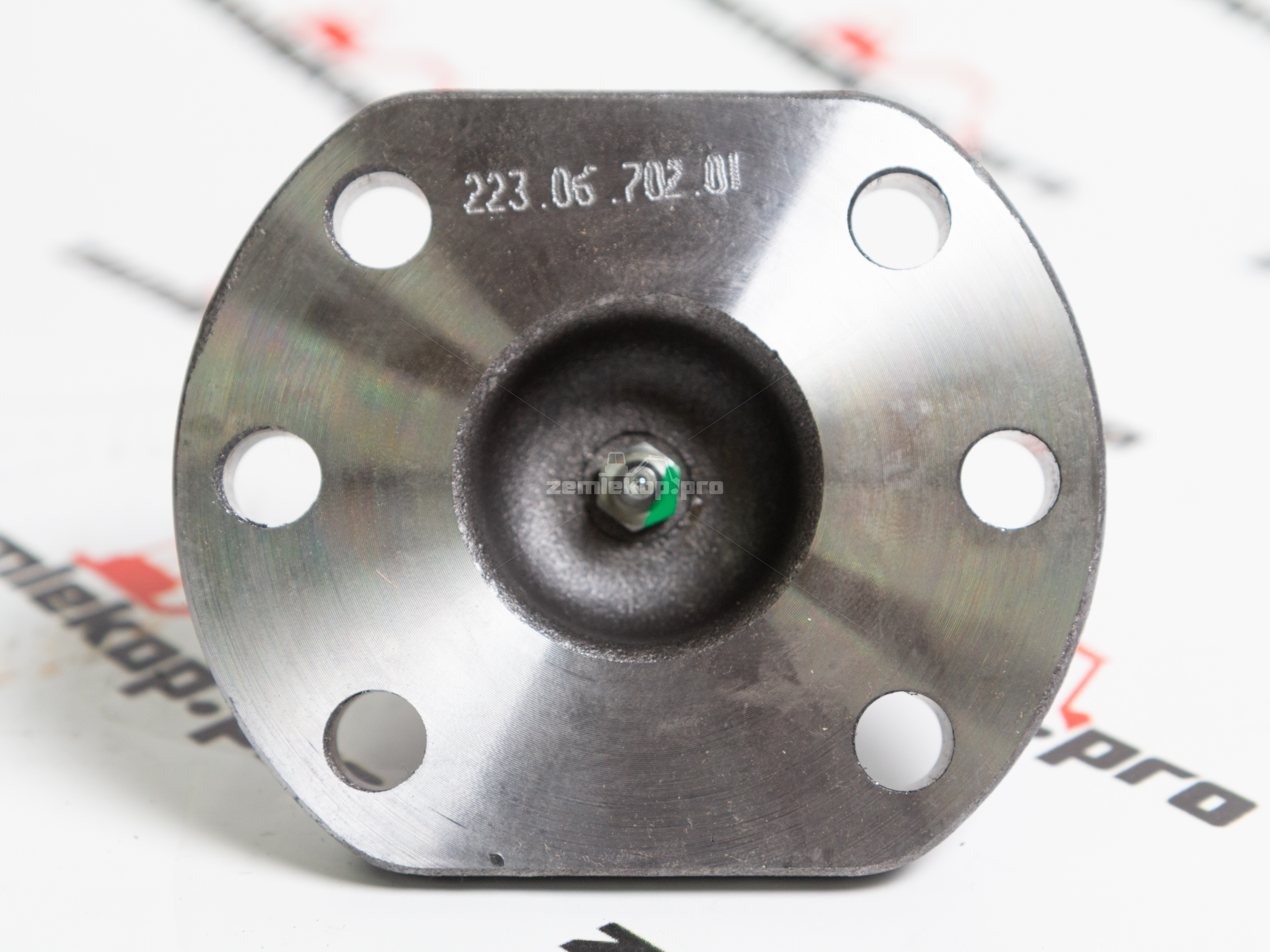 223.06.702.01 Шкворень DANA