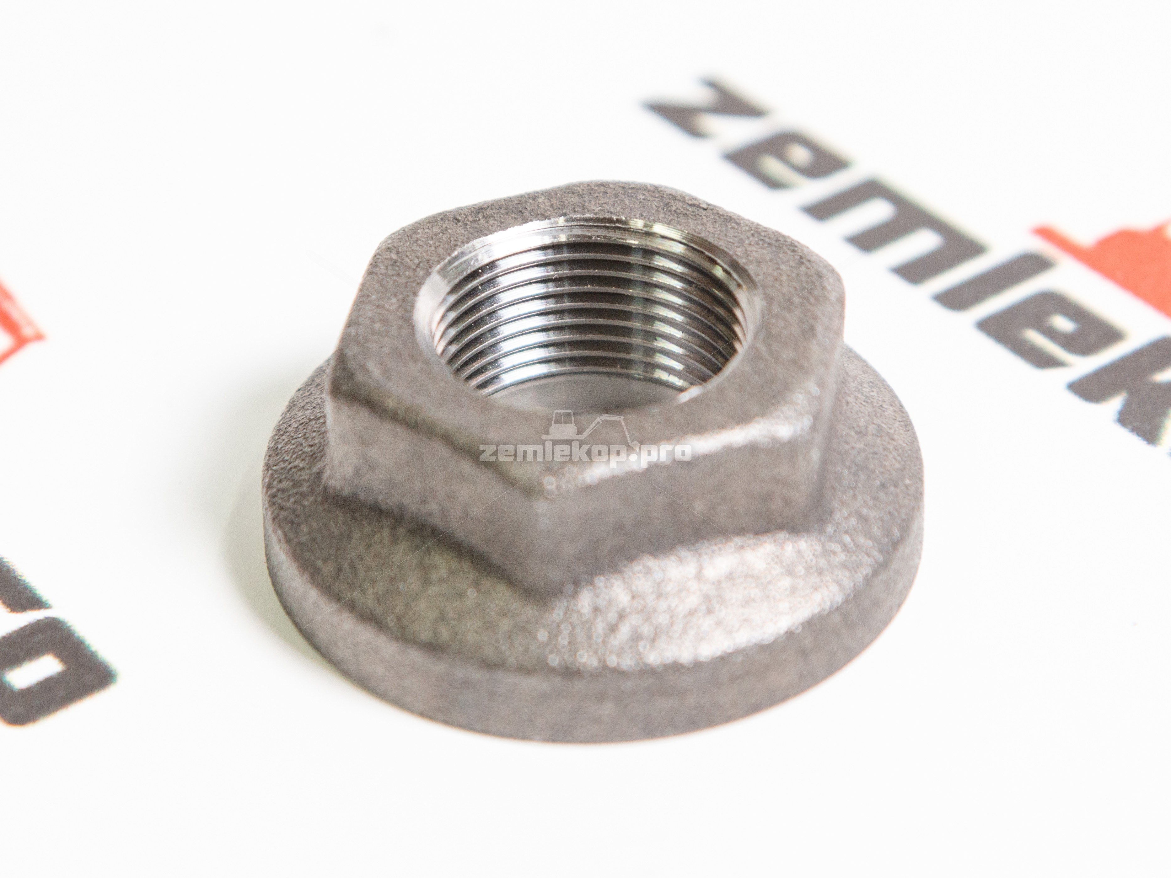 734.04.035.01 Гайка DANA