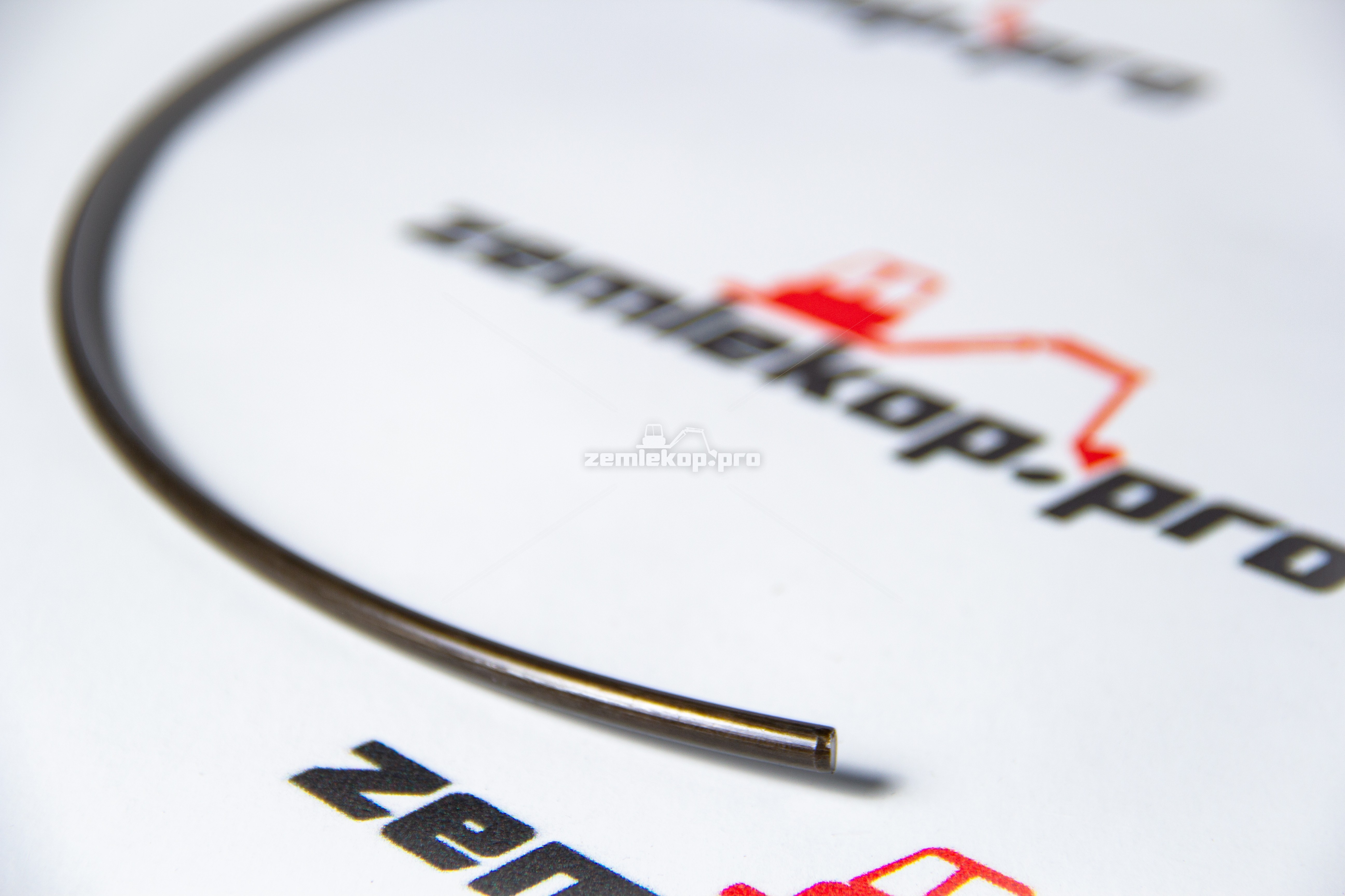 770.06.011.01 Кольцо DANA